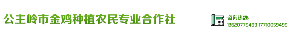 泥鳅田大米|有机泥鳅田大米|公主岭市金鸡种植农民专业合作社